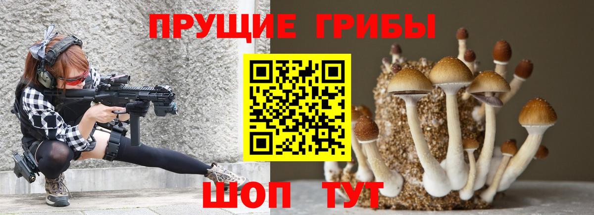 Псилоцибиновые грибы прущие грибы  где найти   Балтийск  Вход с VPN 